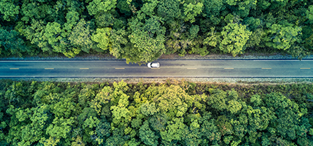 car-driving-down-forest-road